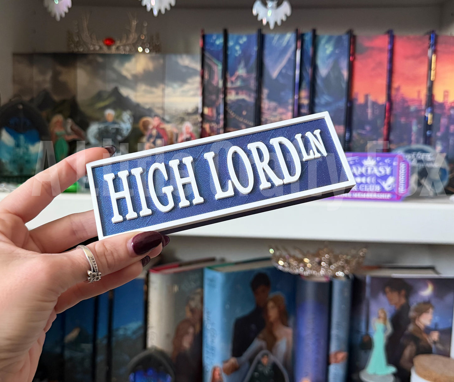 High Lord Lane 3D Printed Bookish Street Sign