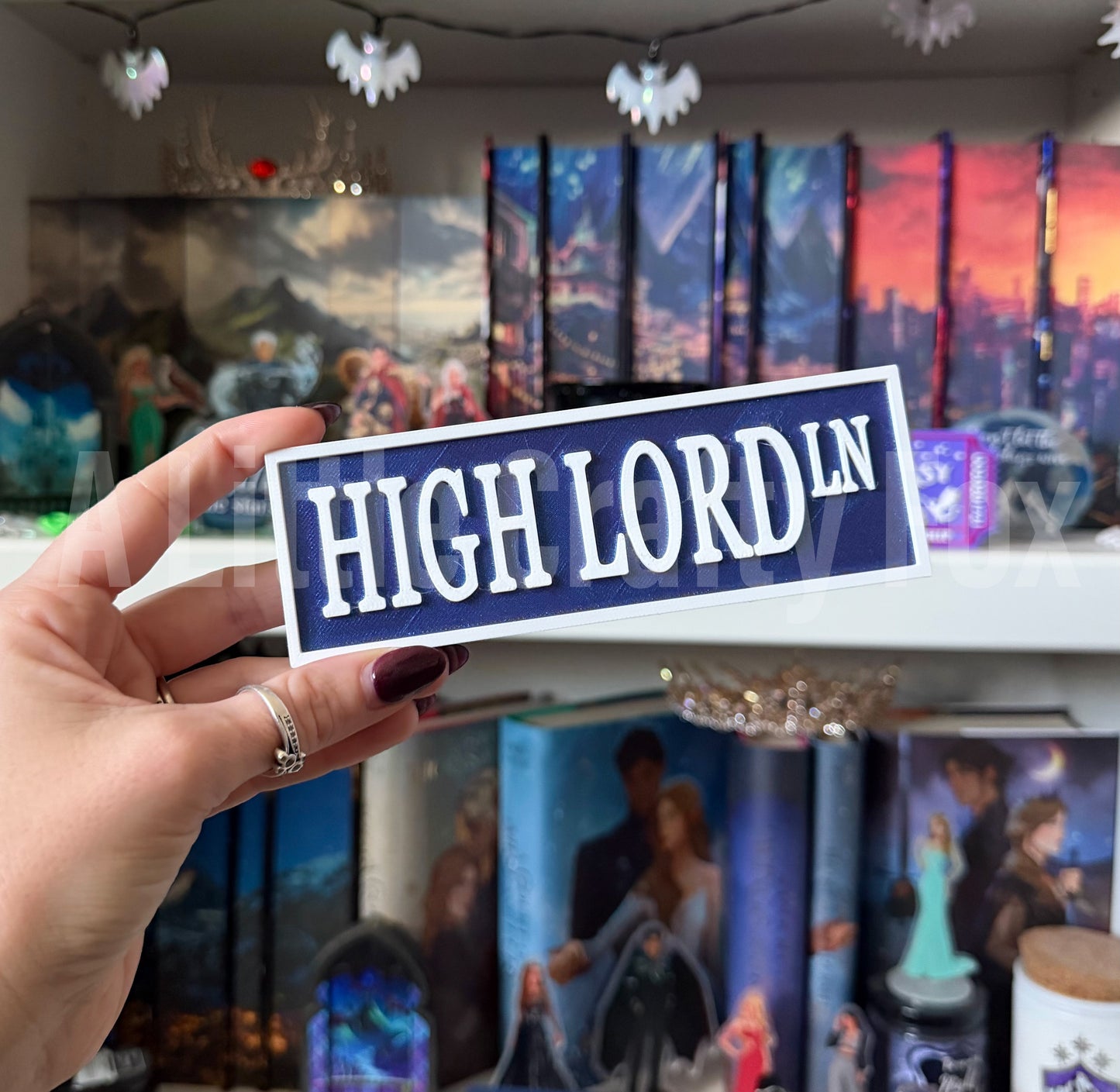 High Lord Lane 3D Printed Bookish Street Sign