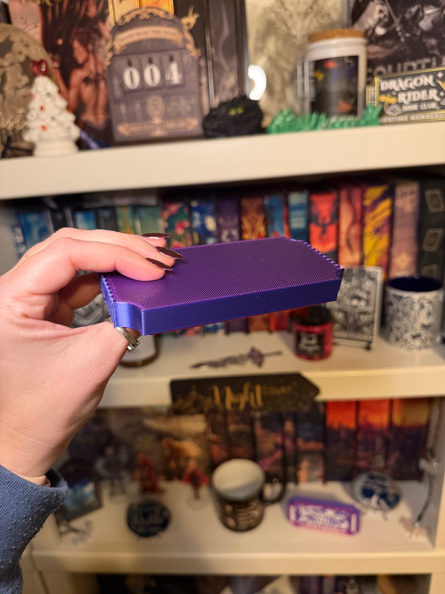 Romantasy Book Club Admission Ticket Shelf Decor